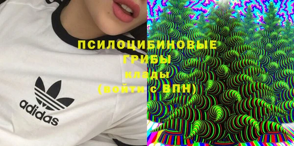 таблы Анжеро-Судженск