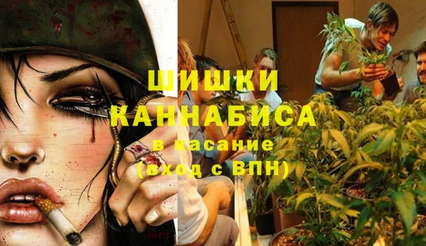 метадон Медвежьегорск