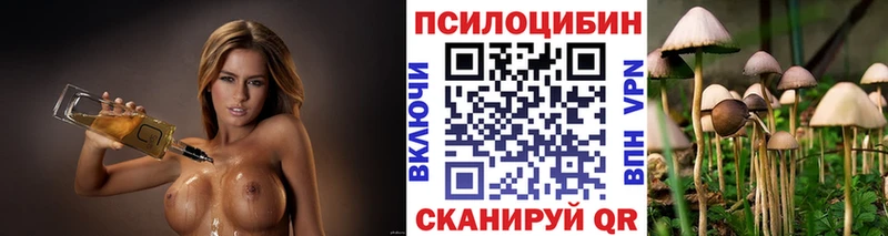 где купить наркотик  Шиханы  Псилоцибиновые грибы ЛСД 